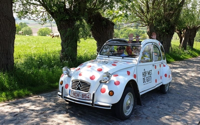 Product afbeelding: LAZY SUNDAY - 2CV&CO