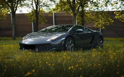 Product afbeelding: Lamborghini rijden