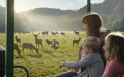 Product afbeelding: Domein van de Grotten van Han (Grot + Wildpark)