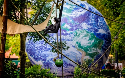 Product afbeelding: ARTIS-Park tickets met korting
