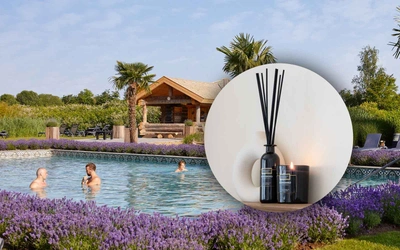 Product afbeelding: Dagje Wellness SpaWeesp