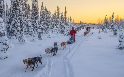 Product afbeelding: 4 daagse: Arctic River Lodge Lapland Escape