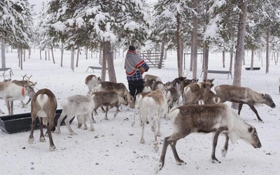 Product afbeelding: 5 daagse: Lapland View Lodge Lapland Experience