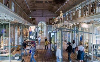 Product afbeelding: ARTIS-Groote Museum tickets met korting