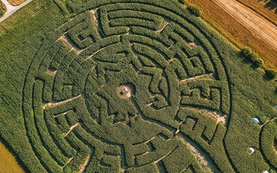 Product afbeelding: Maïsterplan - Maïsdoolhof