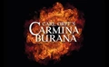 Product afbeelding thumbnail: Carl Orff’s – Carmina Burana € 10,- voordeel