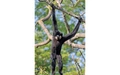 Product afbeelding thumbnail: ARTIS-Park tickets met korting