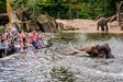 Product afbeelding thumbnail: ARTIS-Park tickets met korting
