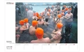 Product afbeelding thumbnail: Volkskrant fotokalender 2026