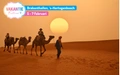 Product afbeelding thumbnail: Het Vakantie Festival - 1 + 1 gratis