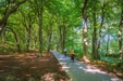 Product afbeelding thumbnail: Landgoed Huize Glory | Ontdek het beste van Bergen aan Zee