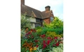 Product afbeelding thumbnail: Op tuinreis met Libelle