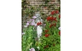 Product afbeelding thumbnail: Op tuinreis met Libelle