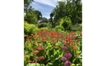 Product afbeelding thumbnail: Op tuinreis met Libelle