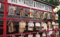 Product afbeelding thumbnail: Japan: Traditie en Toekomst