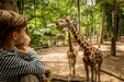 Product afbeelding thumbnail: DierenPark Amersfoort