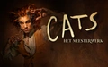 Product afbeelding thumbnail: CATS de Musical - Tickets met €10,00 vroegboekkorting