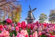 Product afbeelding thumbnail: Hotel Albus Amsterdam | 3-Daags culinair verblijf in hartje Amsterdam incl. 6-gangendiner
