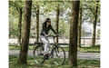 Product afbeelding thumbnail: E-bike - Saxonette DeGreaser