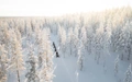 Product afbeelding thumbnail: Lezersreis De Morgen - Puur Lapland met Nordic
