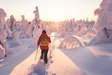 Product afbeelding thumbnail: Lezersreis De Morgen - Puur Lapland met Nordic