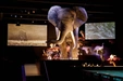 Product afbeelding thumbnail: Naturalis + gratis toegang Rexperience