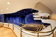 Product afbeelding thumbnail: Een prachtige muziekreis met 3 opera’s