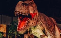 Product afbeelding thumbnail: Dino World Goes