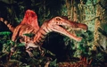Product afbeelding thumbnail: Dino World Goes