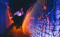Product afbeelding thumbnail: Doloris Anoma Maze Utrecht