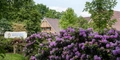 Product afbeelding thumbnail: Landhuishotel De Bloemenbeek | Geniet 3 dagen van rust en bijzondere gastronomie in Twente | incl. 4-gangendiner (MICHELIN*)