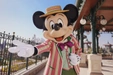 Product afbeelding thumbnail: Tickets Disneyland Paris incl. Donald Duck kleurplaten