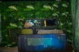 Product afbeelding thumbnail: World of Dinos Zandvoort