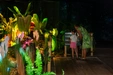 Product afbeelding thumbnail: World of Dinos Zandvoort