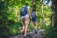 Product afbeelding thumbnail: Hotel Wander | 4-Daagse wandelvakantie (ca. 55 km) over Veluwse heide & langs Kasteel Doorwerth | incl. 3-gangendiner