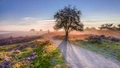 Product afbeelding thumbnail: Hotel Wander | 4-Daagse wandelvakantie (ca. 55 km) over Veluwse heide & langs Kasteel Doorwerth | incl. 3-gangendiner