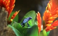 Product afbeelding thumbnail: ARTIS-Park tickets met korting