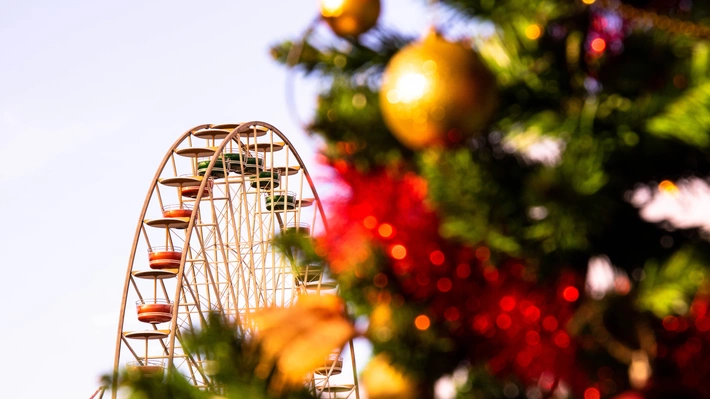 Product afbeelding: Attractie- en Vakantiepark Slagharen