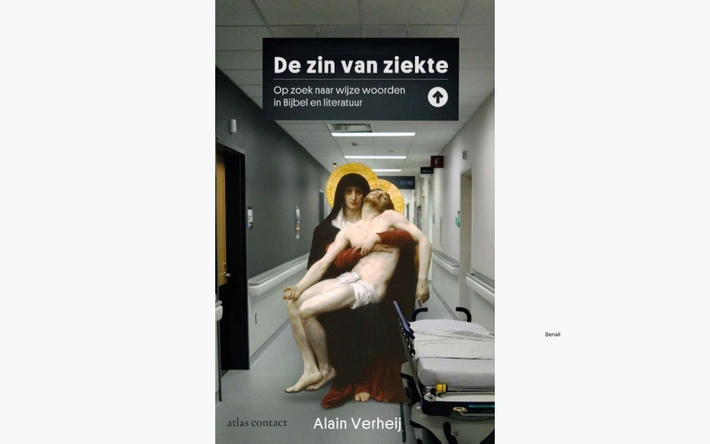 Product afbeelding: De zin van ziekte