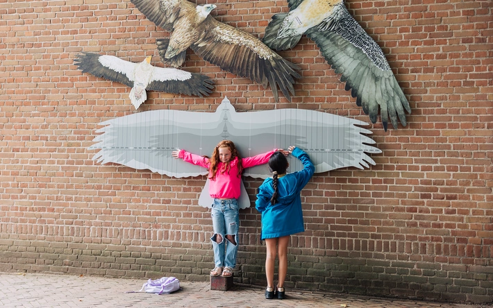 Product afbeelding: Speciale Donald Duck ARTIS-Park actie