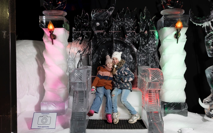 Product afbeelding: Nederlands IJsbeelden Festival