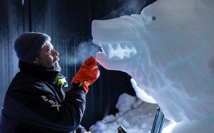 Product afbeelding: Nederlands IJsbeelden Festival