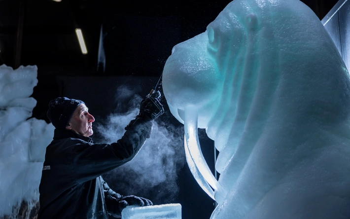 Product afbeelding: Nederlands IJsbeelden Festival