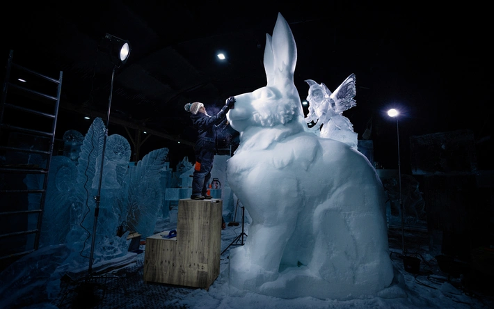 Product afbeelding: Nederlands IJsbeelden Festival