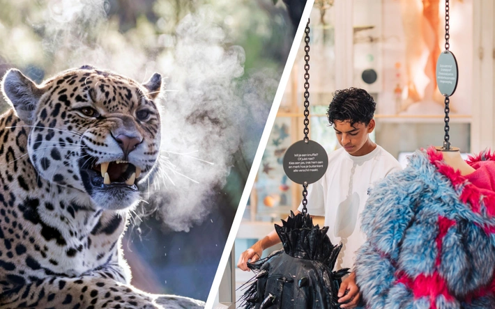 Product afbeelding: Combiticket ARTIS-Park & ARTIS-Groote Museum