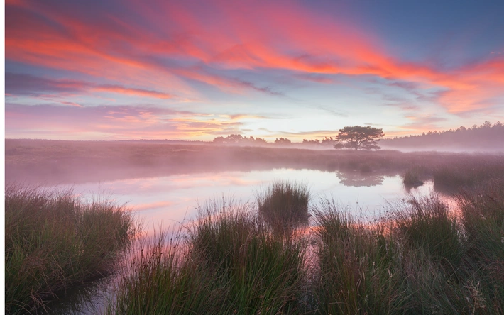 Product afbeelding: Veluwe Hotel de Beyaerd | Een oase van rust en ontspanning midden in de Veluwse natuur | incl. diner
