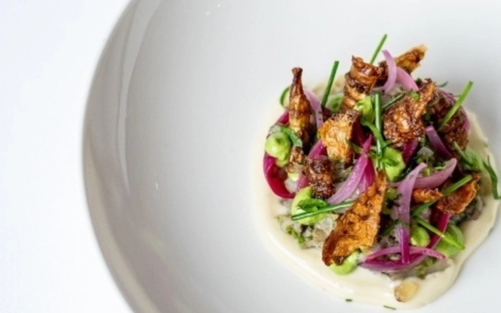 Product afbeelding: 6-Gangen rising star diner bij De Compagnon in Amsterdam