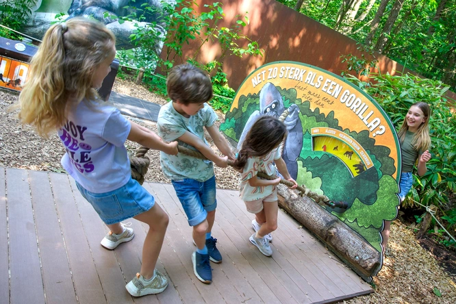 Product afbeelding: Apenheul