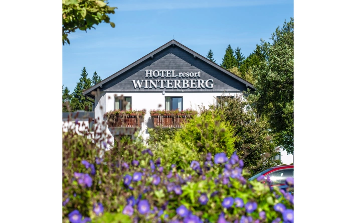 Product afbeelding: 4 Dagen heerlijk ontspannen in het Sauerland bij Hotel Winterberg Resort