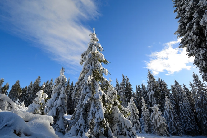 Product afbeelding: 4 Dagen heerlijk ontspannen in het Sauerland bij Hotel Winterberg Resort